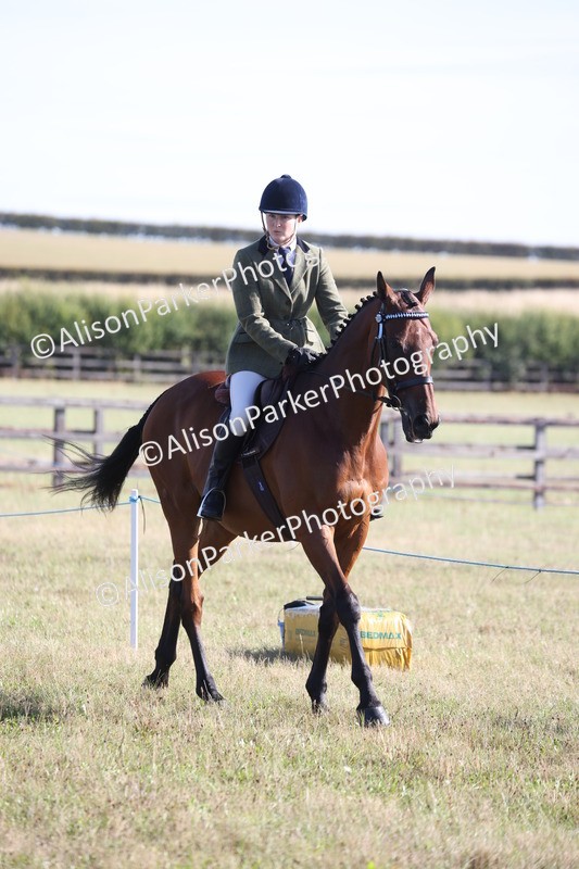 20260906-0343 - Class 14 - Ex Racehorse