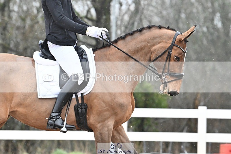 250215-095348-02894 - 200-Joe.Roome-Acqua.Marina.Della.Caccia