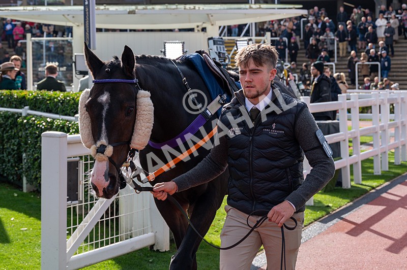 241025-Race 1-Prince Imperial-7867 - Race 1