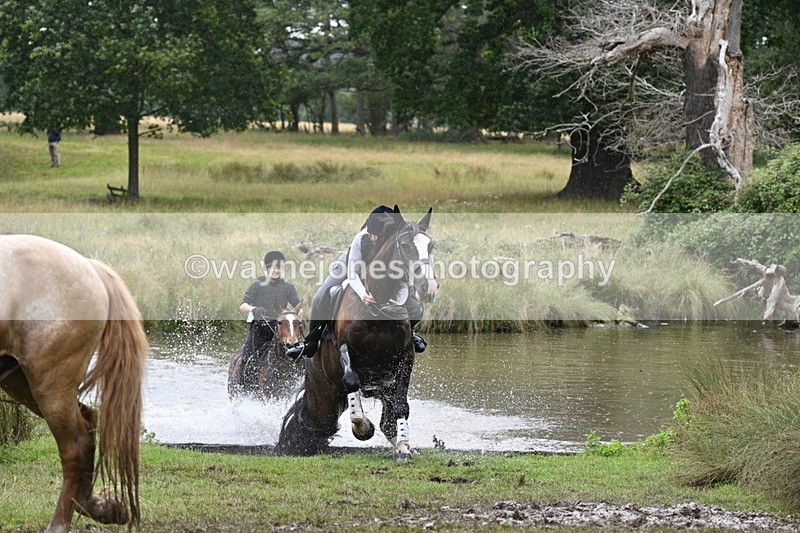 WJ7_5392 - Time at Water 14:00 to 14:53