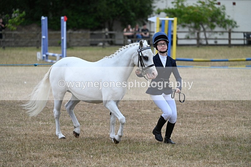 WJ7_8344 - Class 4 Prettiest Mare up to 14.2hh