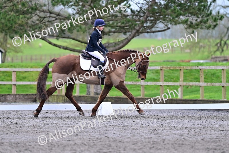 20260125-3987 - Class 12 - Novice