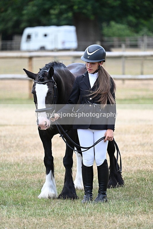 WJ7_1506 - Class 4 Prettiest Mare up to 14.2hh in hand