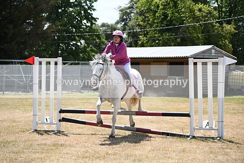 WJ6_5935 - Class 13 Novice 60cm
