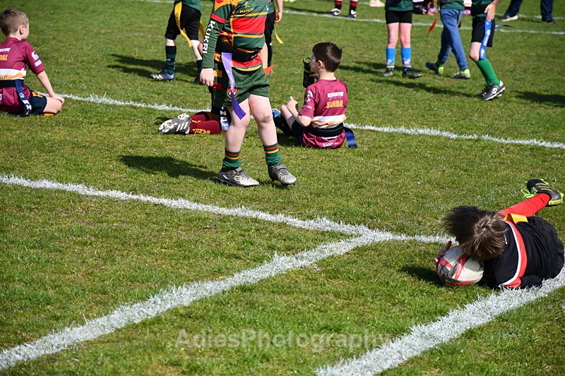  - Selby Rugby Festival 2025