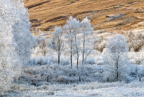  - Scotland, UK