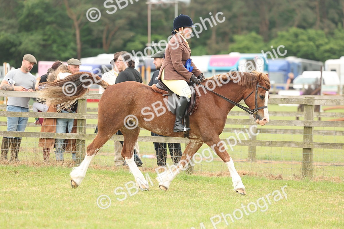 SBM_07287 - Class 76-77 - Ridden M&M Welsh Ponies