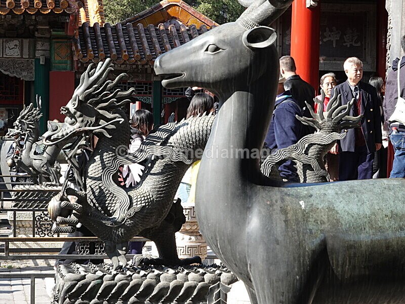 CHINA__1137 - China 2019