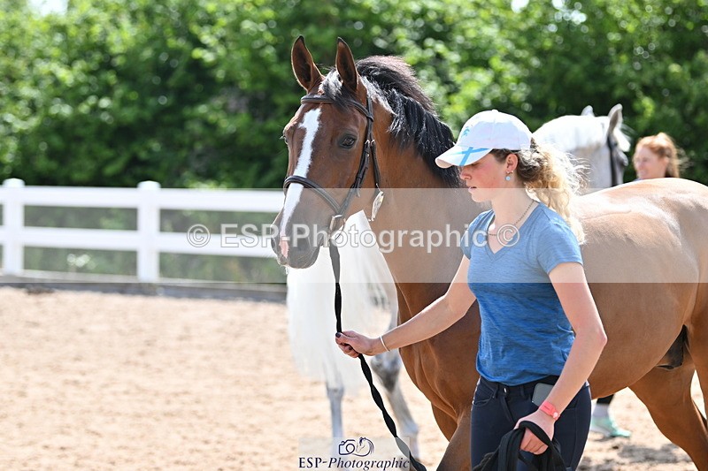 240717A-152136-02783 - Trot Up 3pm to 4pm
