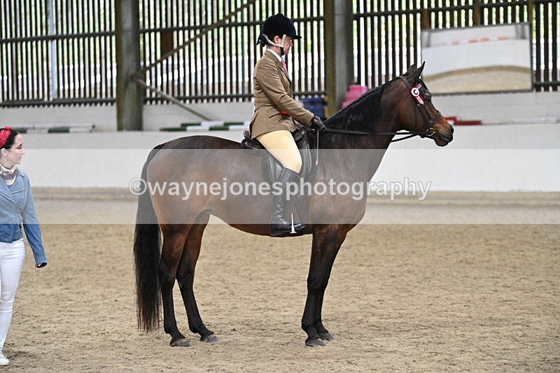 WJ7_4615 - Afternoon Champs