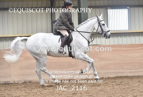 JAC_2116 - CLASS 1 Nursery Novice Working Hunter