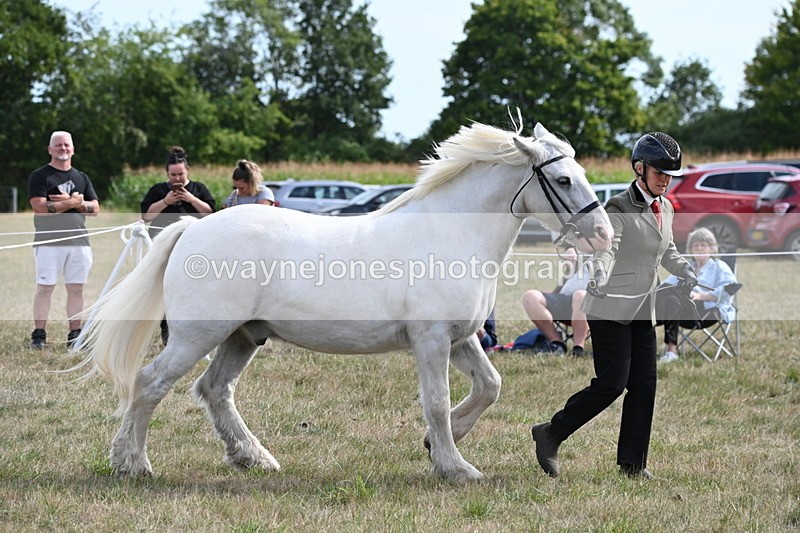 WJ6_6607 - Class 20 In-hand Cob