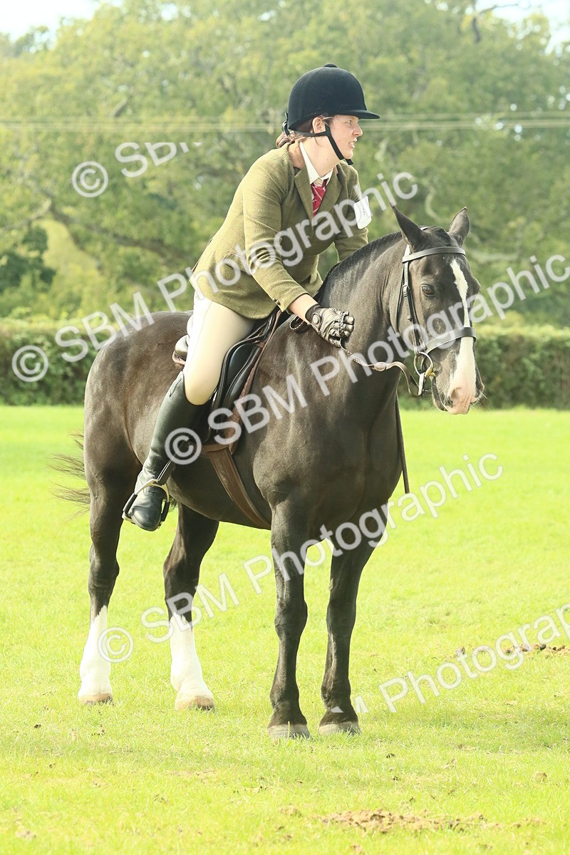 SBM_69370 - S58 - Mini Show Cob Ridden