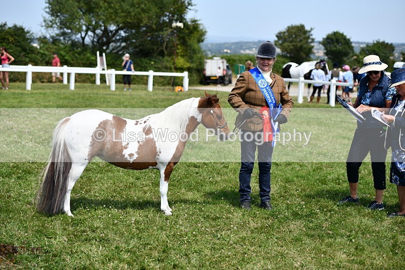 DSC_7960 - Coloured Horse In Hand Championship