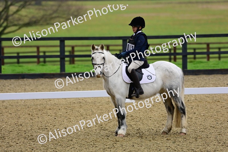 20260125-0537 - Class 9b - Walk Trot Unassisted