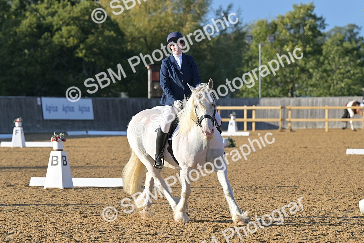 SBM_13192 - D3 - Small Tour Championship Intro 3