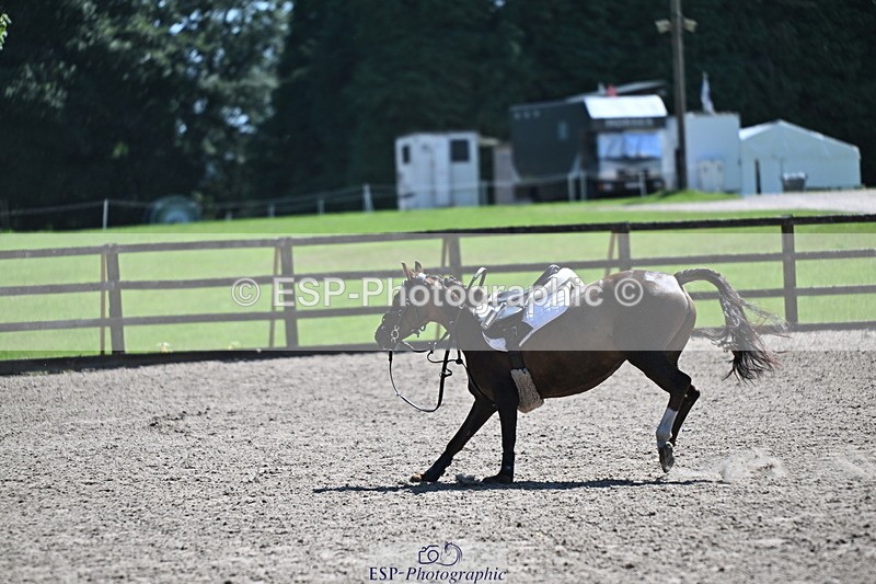 240729B-115059-02550 - Showjumping Competition
