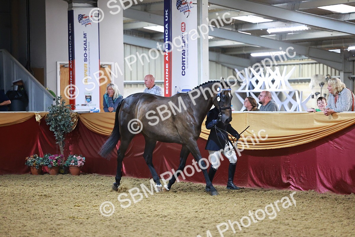 SBM_14939