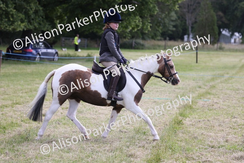 20260614-0678 - Class 20 - Beginners Working Hunter Pony