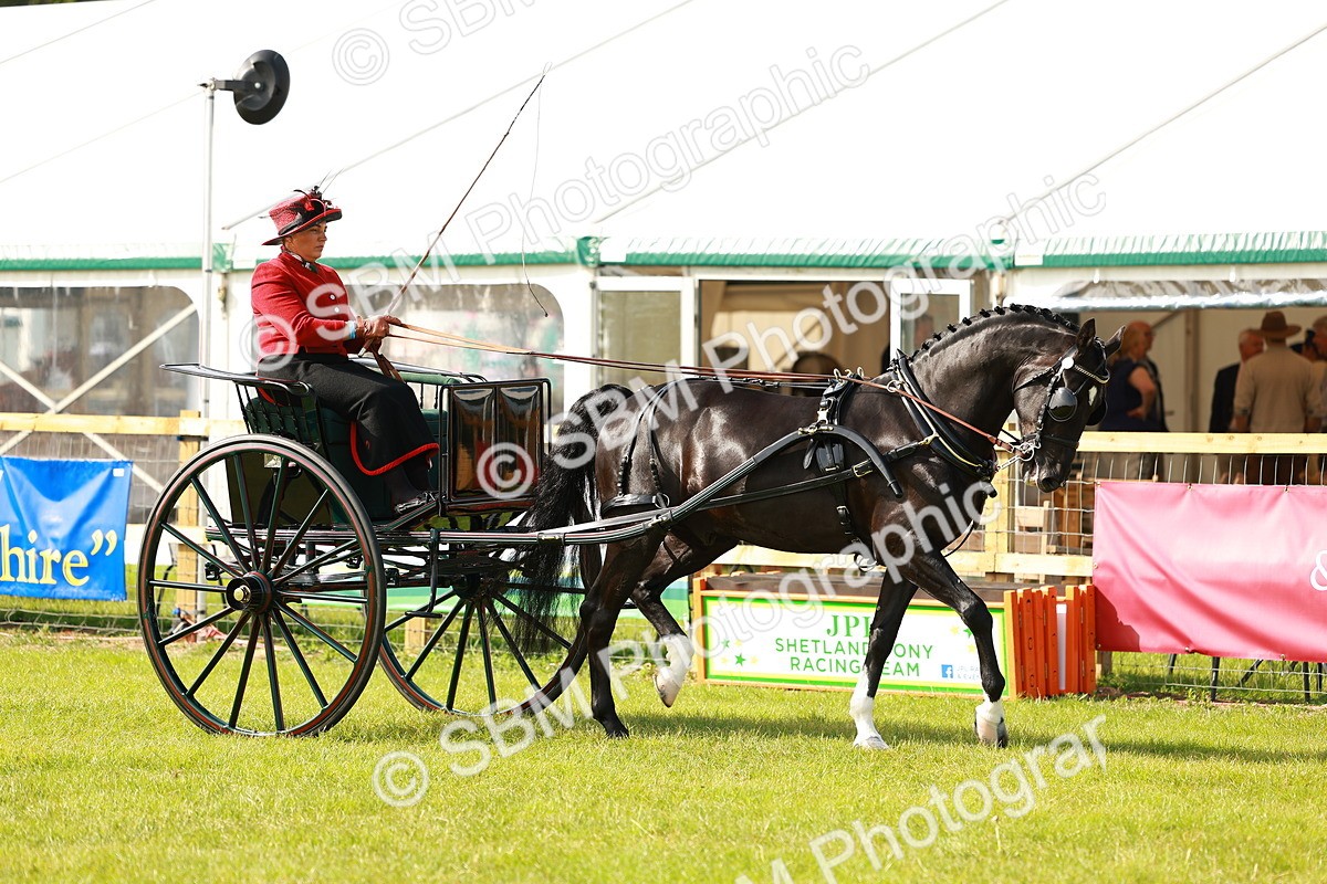 SBM_01137 - Class 2-4 - HOYS Private Driving