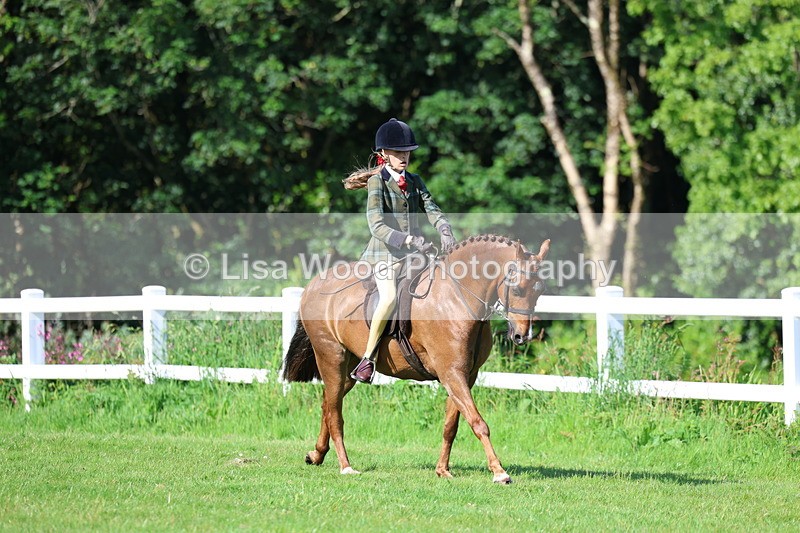 3E7A5971 - Class 27: Novice Working Hunter Pony