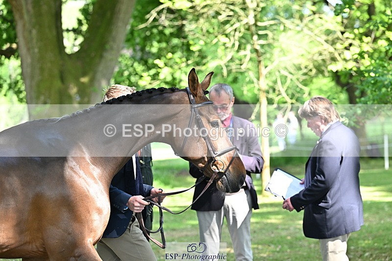 250521A-154910-00783 - B-371-Ben.Perry-FA.KARLA