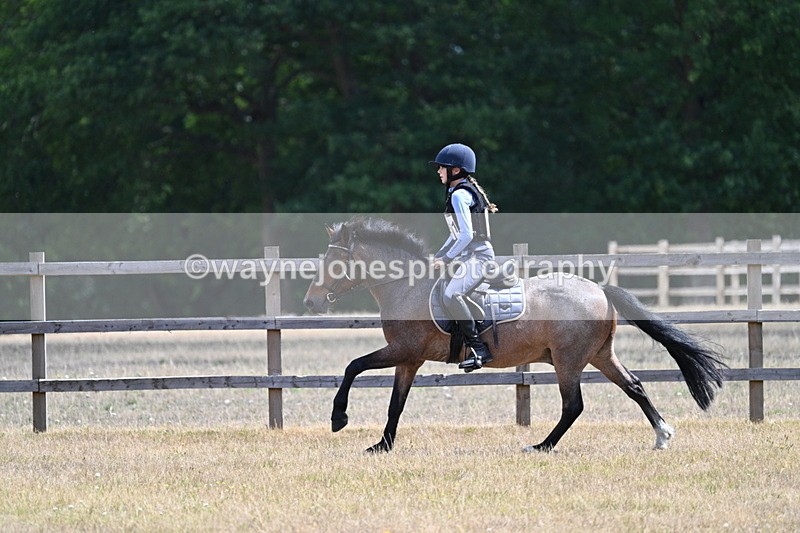 WJ7_0911 - 60cm Time 12:26 to 12:46