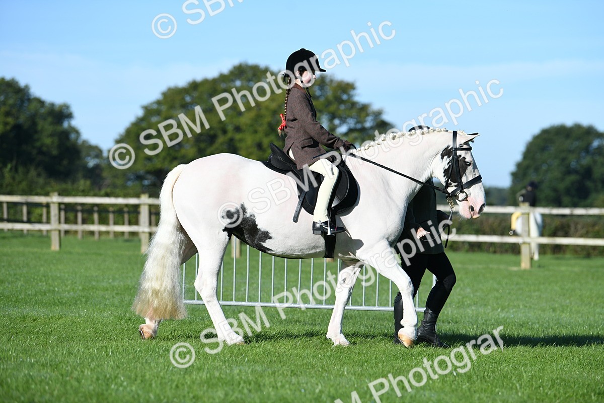 SBM_35280 - S17 - Condition & Turnout - Lead Rein