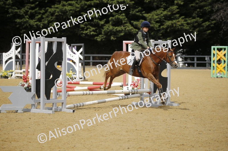 20250622-3760 - 50cm