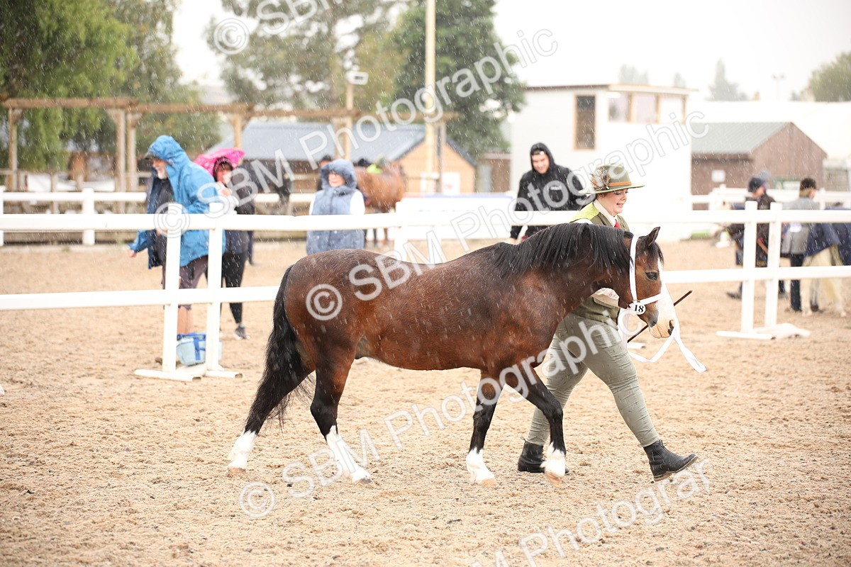 SBM_20241 - Class 704 - IH Rescue