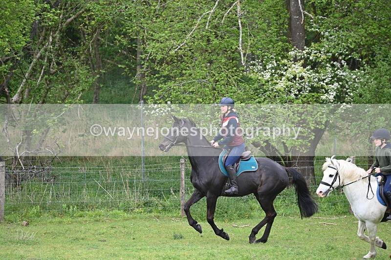 WJ6_2998 - A Camera