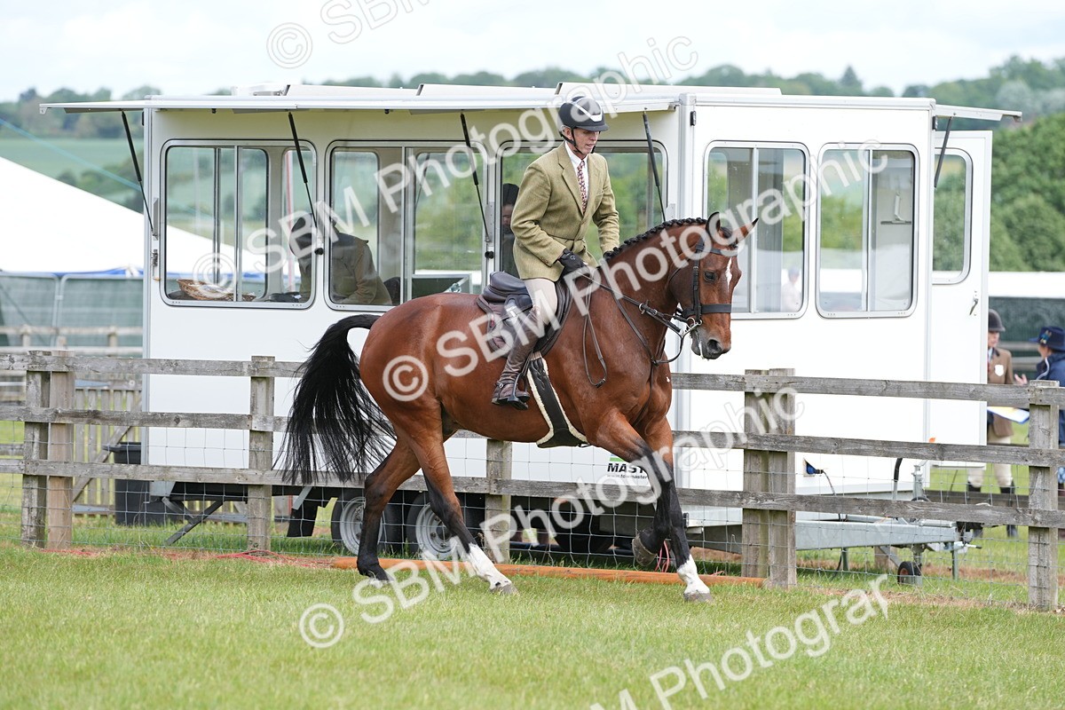 SBM_15003 - Class 100-102 - RIHS Working Hunter
