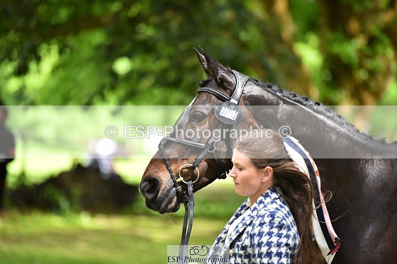 240522-153926-00508 - 372-PENCOS_CROWN_JEWEL-Millie_Juleff