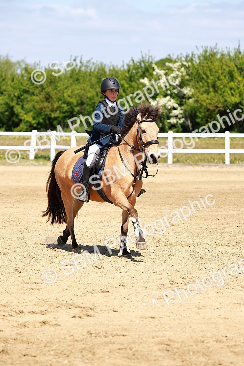 SBM_007578 - Class 3 - 60cm