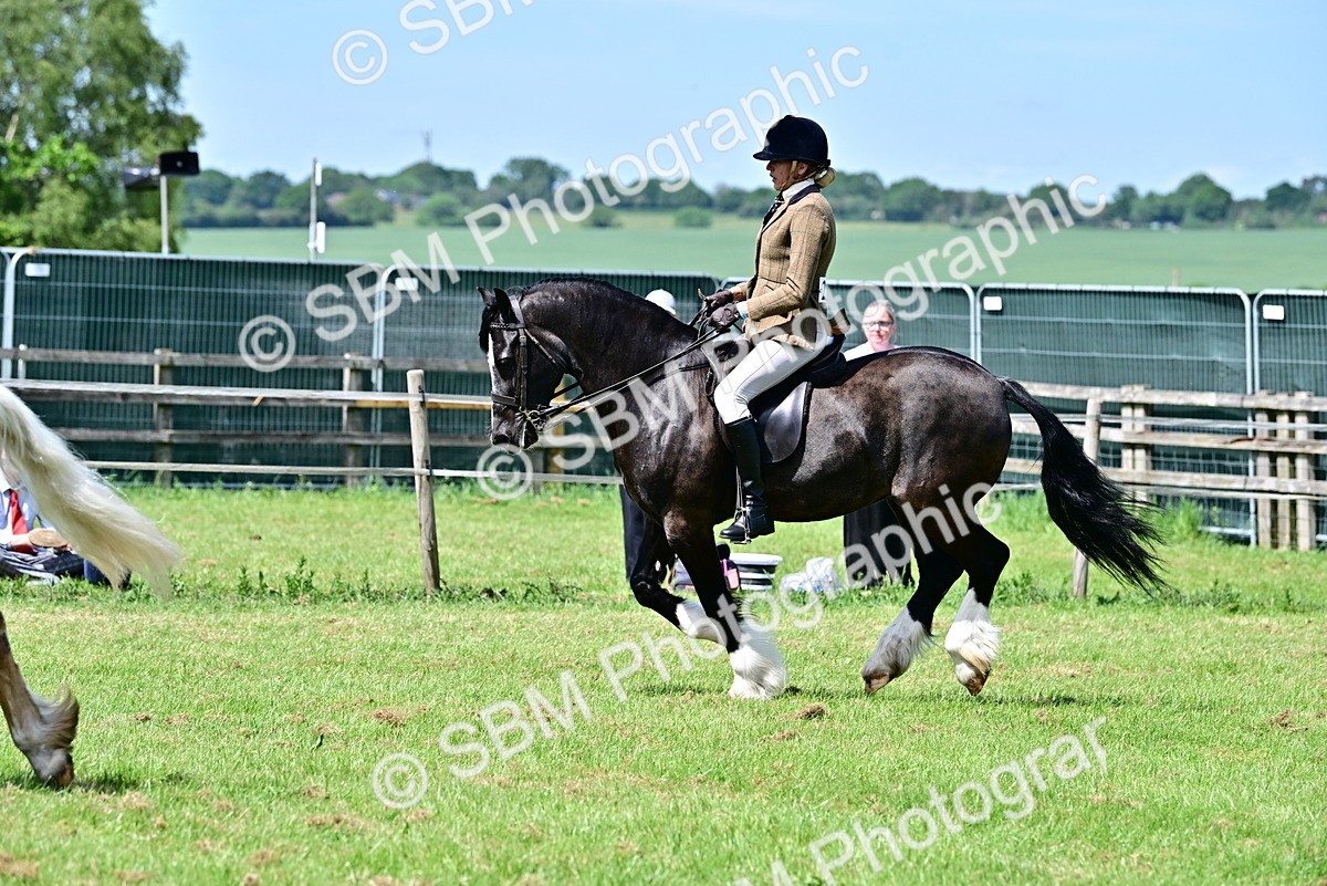 SBM_07926 - Class 61-62 - TSR  M&M Ridden Amateur of the Year