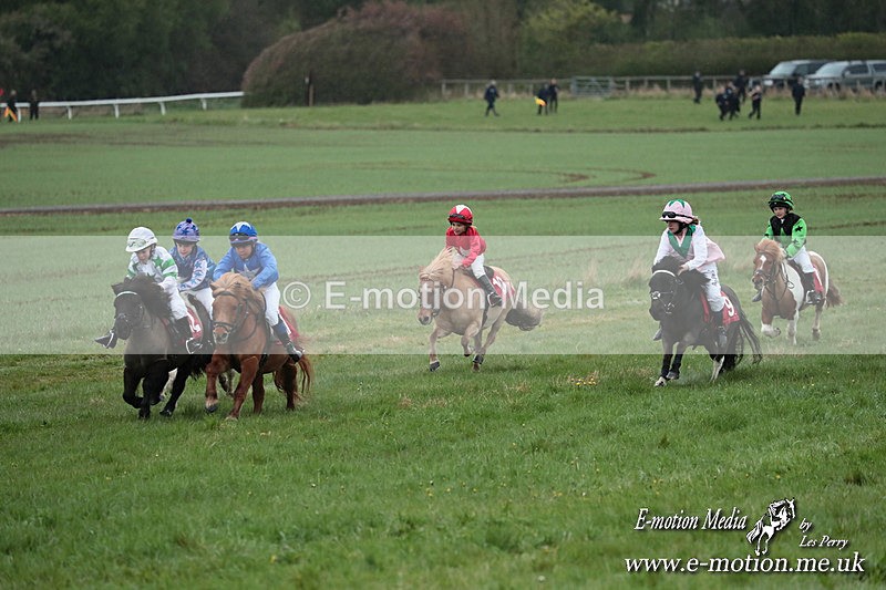 SHETPR 210425 158 - Shetland Ponies Paxford Races 21/04/25