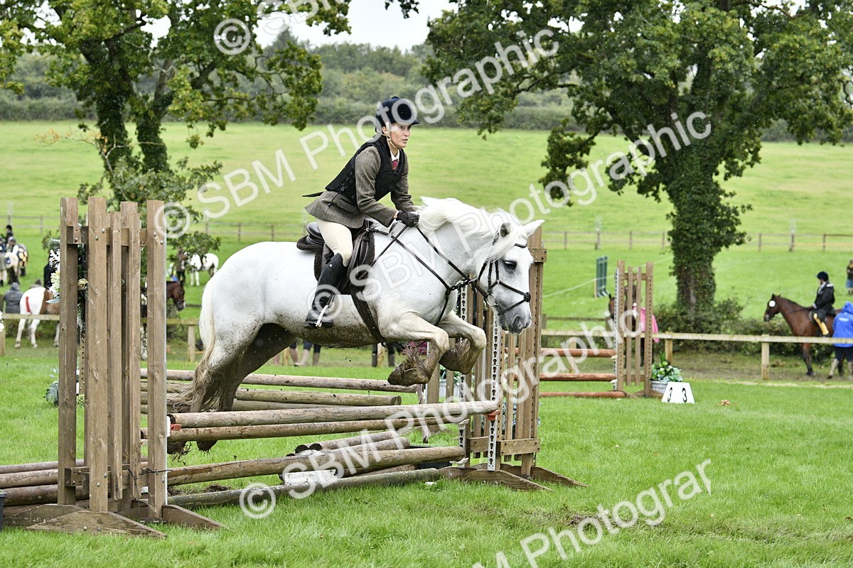 SBM_42276 - S32 - Mountain & Moorland Working Hunter Pony