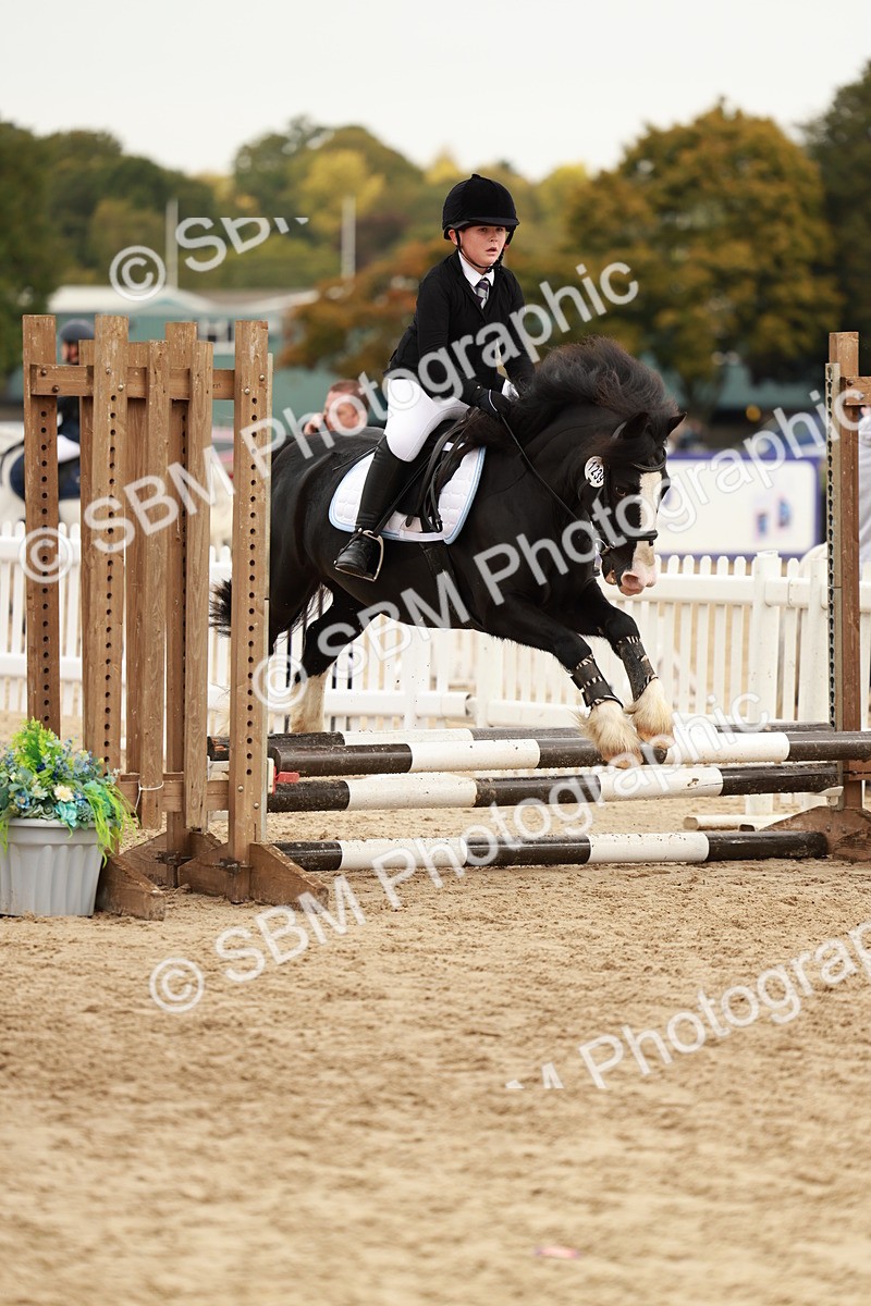 SBM_58026 - J11 - Junior Pony 50cm Championship