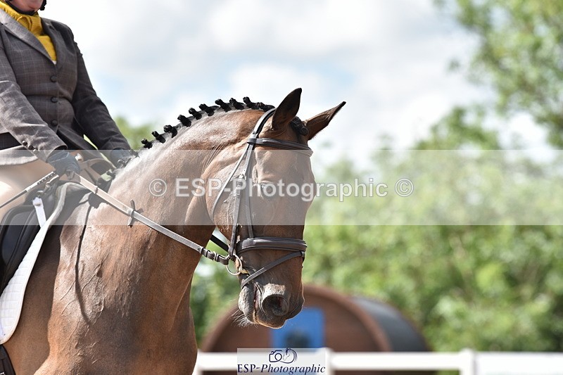 240706A-164432-04250 - Cls 6 Snr PYO