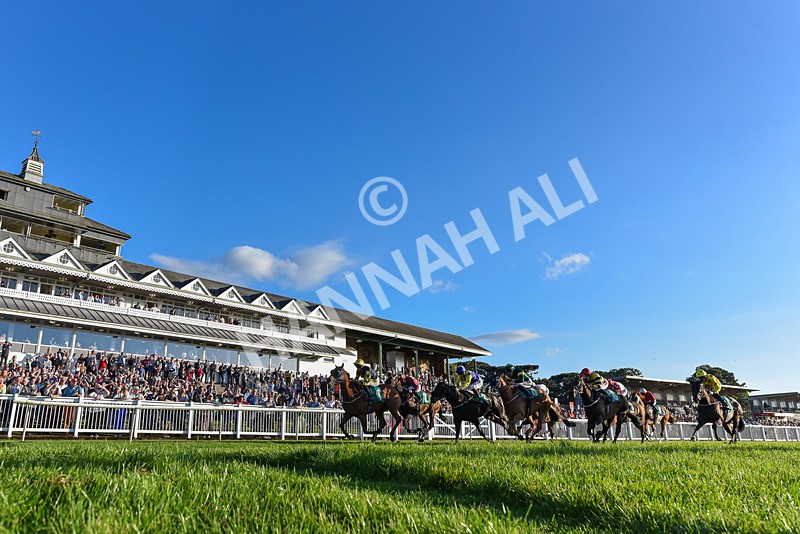 160824-Race 5-Ready Freddie Go-3735 - Race 5