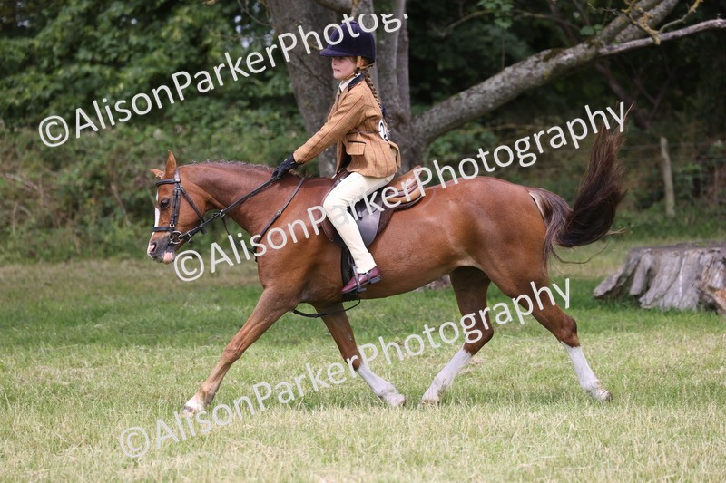 20260614-2826 - Class 22 - Open Working Hunter