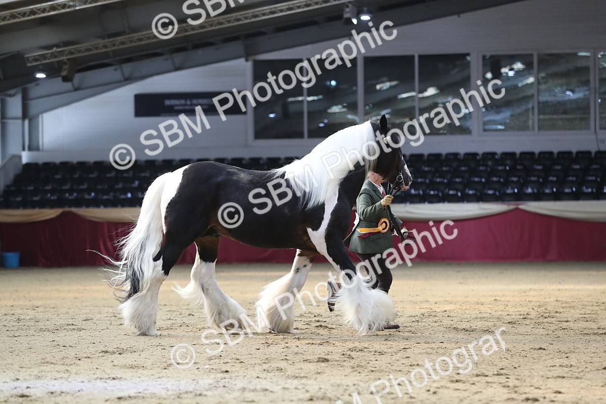 SBM_01408 - Class 3a Area IH Pre Vet