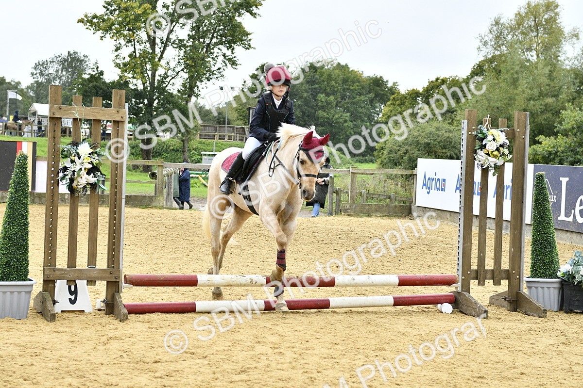 SBM_68464 - J2b - Mini Tour Junior Pony 30cm championship