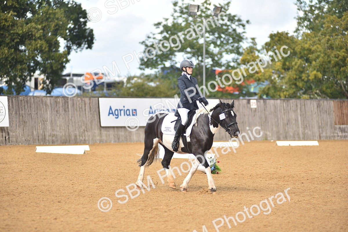 SBM_19914 - D4 - Small Tour Championship Intro 4
