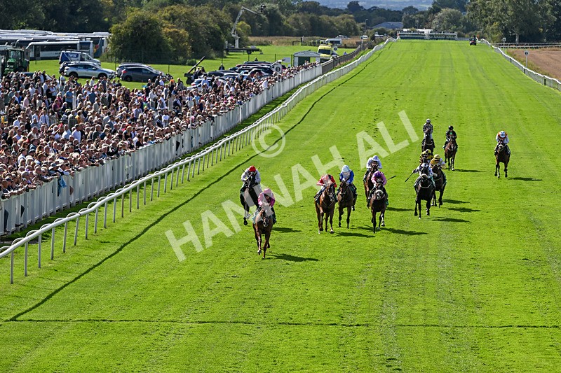 050926-Race 3-Dontlookanyfurther-3471 - Race 3 2.40pm British Stallion Studs EBF Restricted Novice Stakes