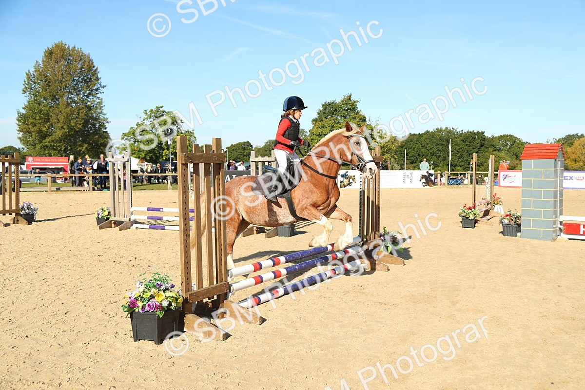 SBM_35864 - J5 - Junior Pony 50cm Championship