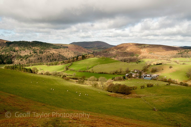 Beach Farm with Heath Mynd, Corndon Hill and Black Rhadley Hill - Stiperstones