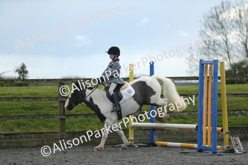20260412-1965 - Show Jumping
