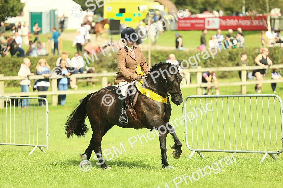 SBM_44839 - S31 - Working Hunter Pony