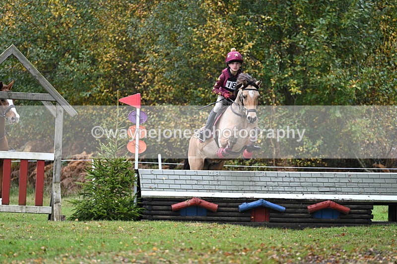 WJ7_2277 - 80cm Cam 2 Pairs Time 12:18 to 12:43